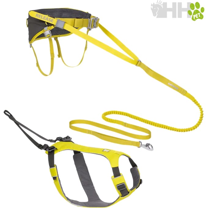 Halsband en tuig voor hond met riem Ruffwear Omnijore