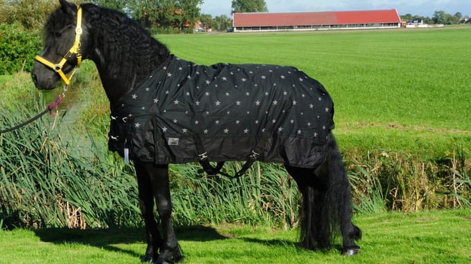 Regendeken luxe 450 gram ster
