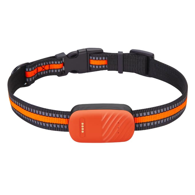 Traceur GPS pour animaux de compagnie, clôture électronique étanche, collier pour chien et chat, prévention des pertes, positionnement Multiple orange