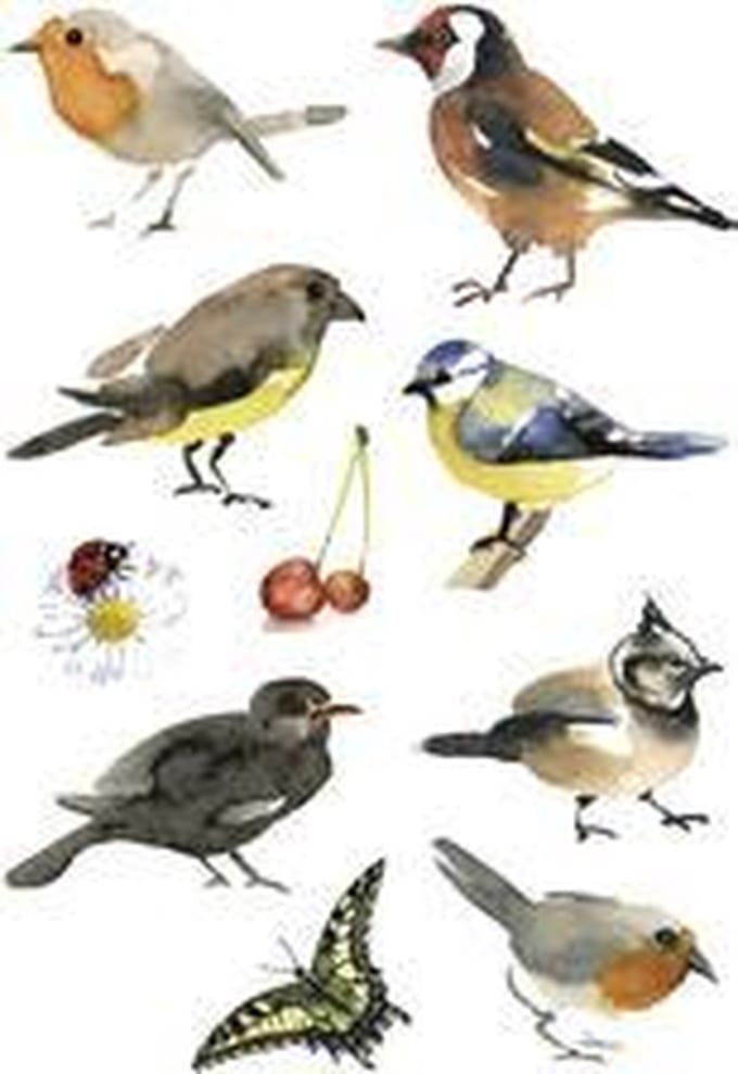 HERMA 3351 Stickers Décor Aquarel Vogels