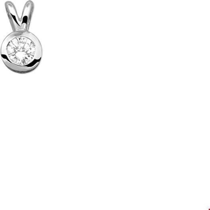 zilver gerhodineerd hanger zirkonia 1321981