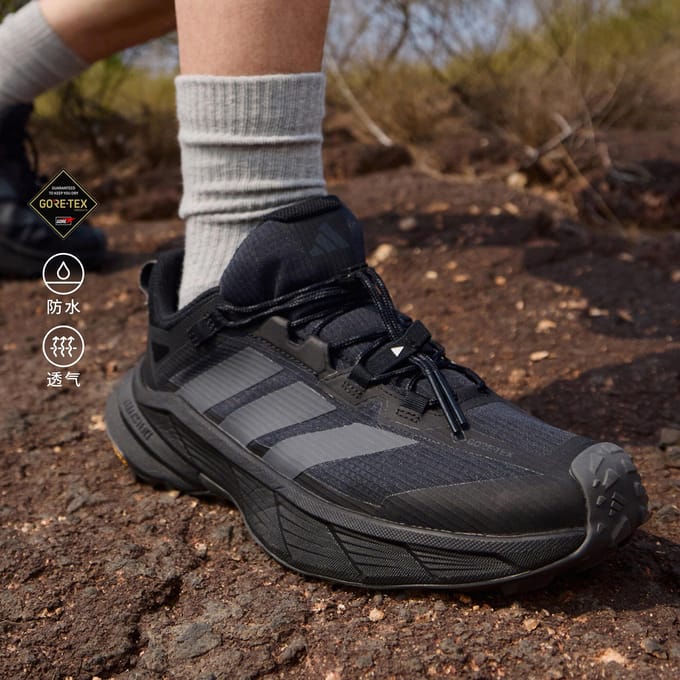 Wandelschoenen adidas Terrex Free Hiker SL Gore-Tex