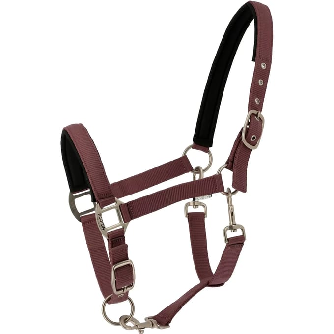 Halster voor paarden Norton Nacre