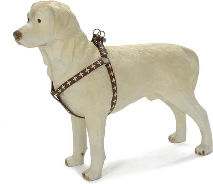 Borsttuig MacLeather Cross. Bruin. Verstelbaar.