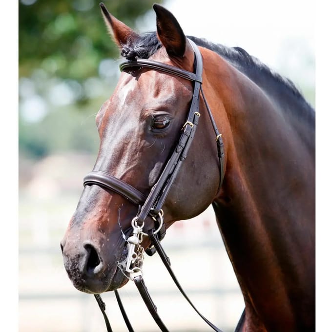 Snaffle hoofdstellen Tattini