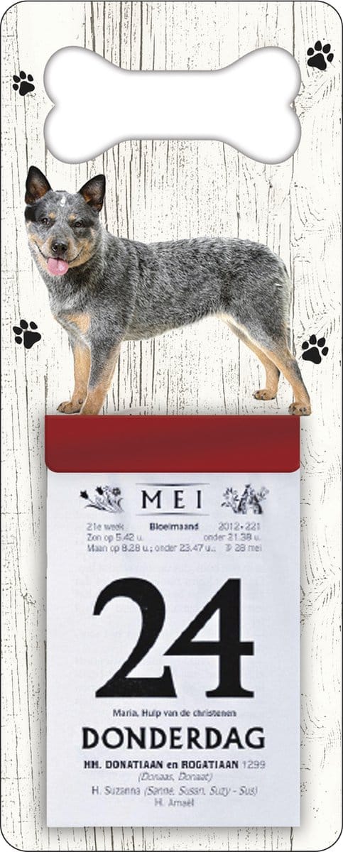 Scheurkalender 2027 Hond: australien cat dog
