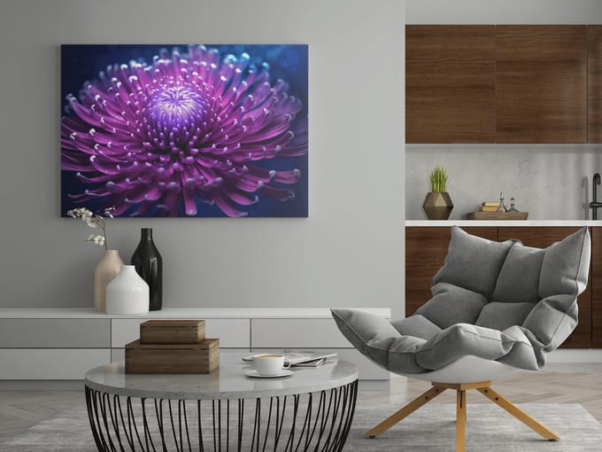 Canvas Schilderij - Bloem - Bloemen - Chrysant - Paars - 60x40x2 cm