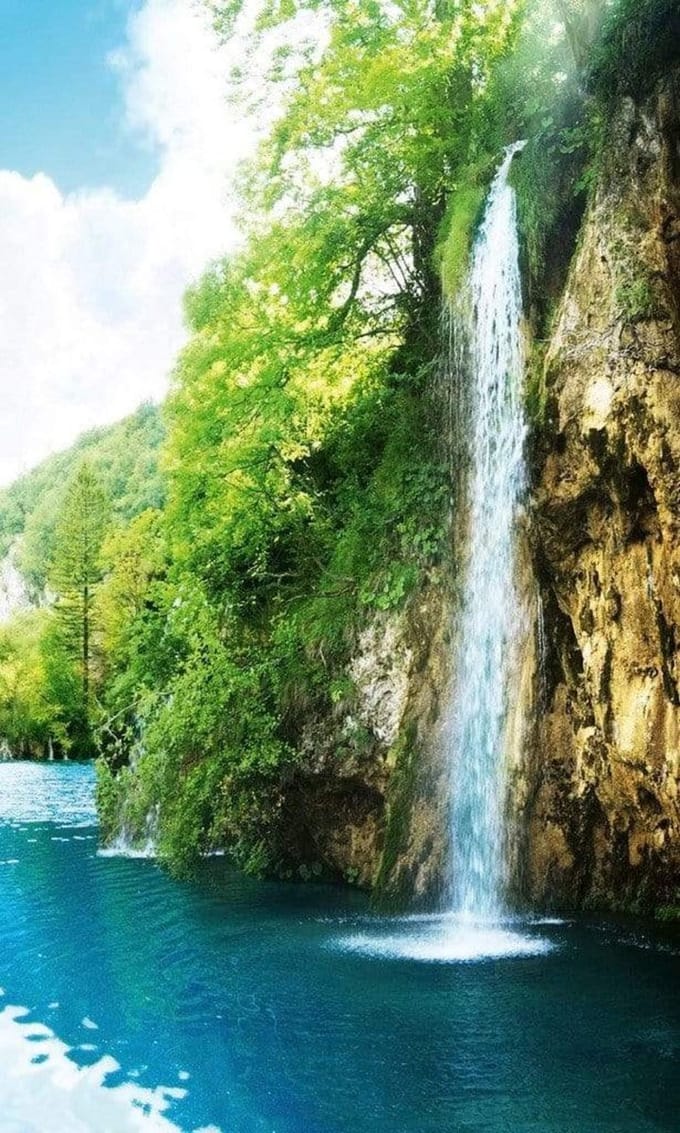 Fotobehang - Relax in Forest 150x250cm - Vliesbehang