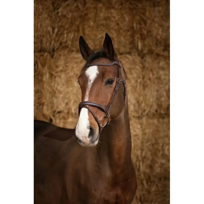 Norton Equestrian Perle Halster Bruin Cob
