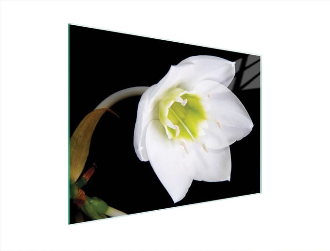 TMK ArtDeko - Snijplank Glas - 40x30 cm - Orchidee - Hittebestendig