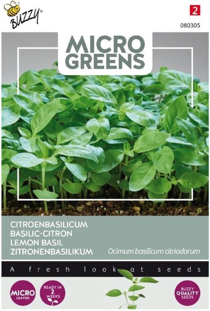 Buzzy® Microgreens, Citroenbasilicum