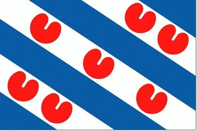 Vlaggetje Friesland 20x30cm