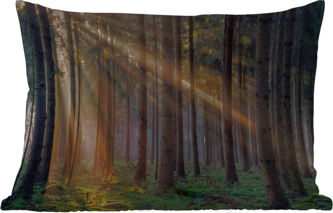 Buitenkussens - Bomen - Bos - Zon - Planten - 60x40 cm - Weerbestendig