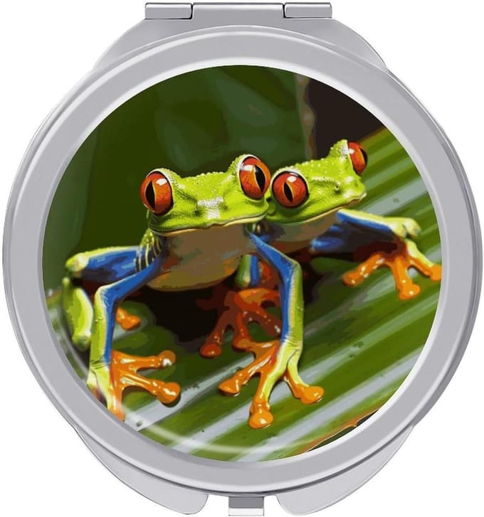 Compacte Spiegel - Handspiegel Zakspiegel - Make-up Aanbrengen - Dubbele Vergroting - 69 cm diameter - Groen Rood
