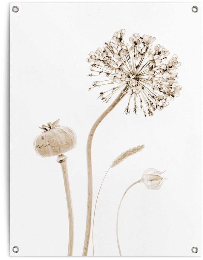 Tuinposter Droogbloemen - 80 x 60 - Canvas - REINDERS