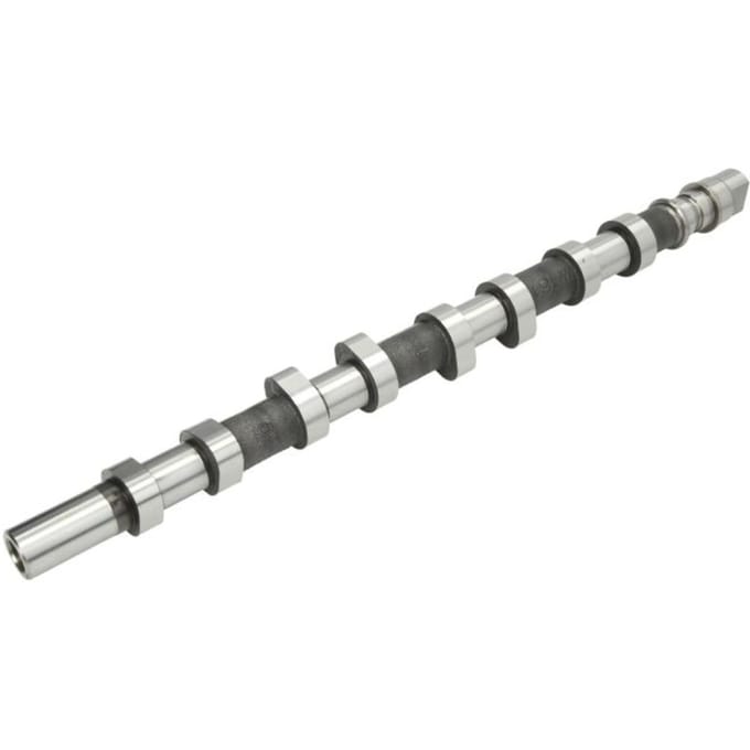 Nokkenas  AE CAM926
