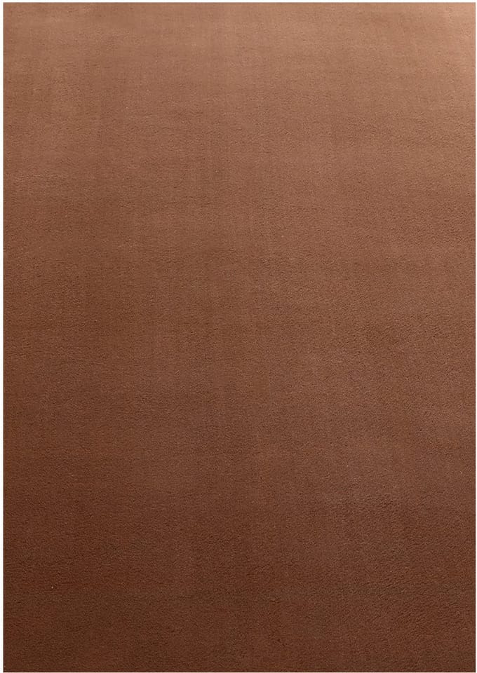 Laagpolig vloerkleed Sky (bruin) - 160x230 cm