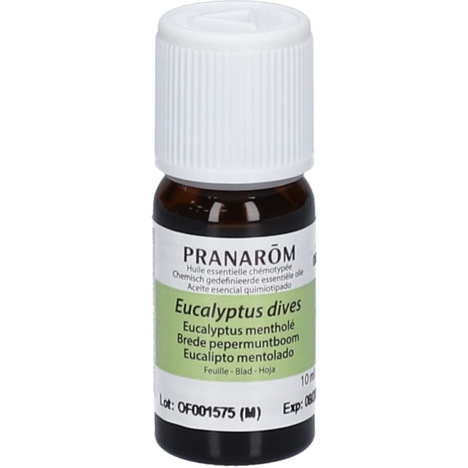 Pranarôm Essentiële Olie Eucalyptus-Munt 10 Etherische olie
