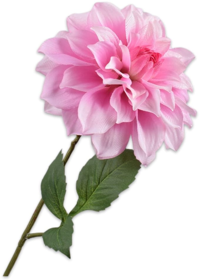 Silk-ka - Kunstbloem - dahlia - roze - H71 cm - 2 stuks