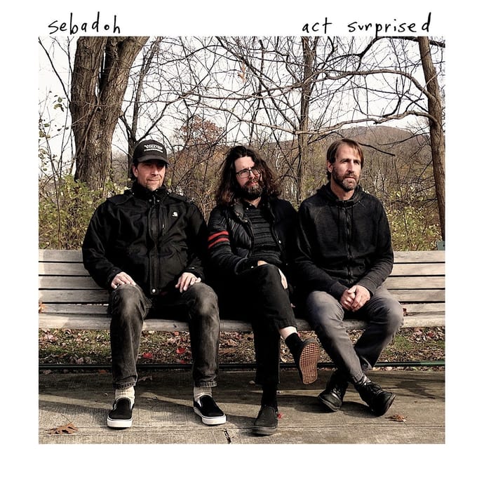 Sebadoh - Act Surprised (CD)