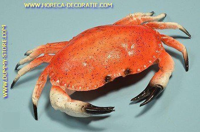 Krab XXL - 320x220 mm - Visdummy
