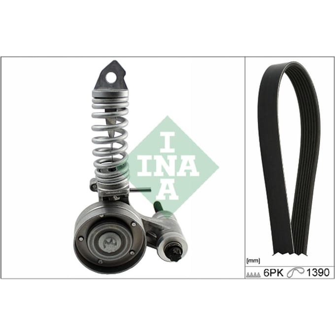 Schaeffler Ina Poly V-riem set INA 529 0325 10