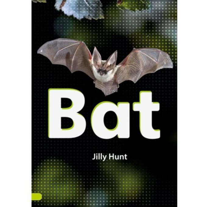 Bat (Set 02) - Striders Phonics Readers - Hunt, Jilly