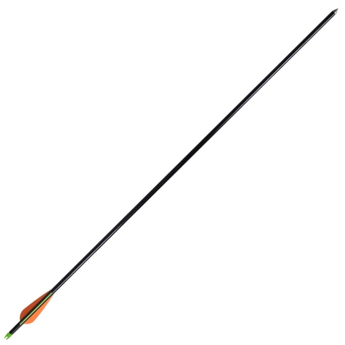 vidaXL Pijlen compoundboog standaard 30" 0,8 cm glasvezel 12 stuks
