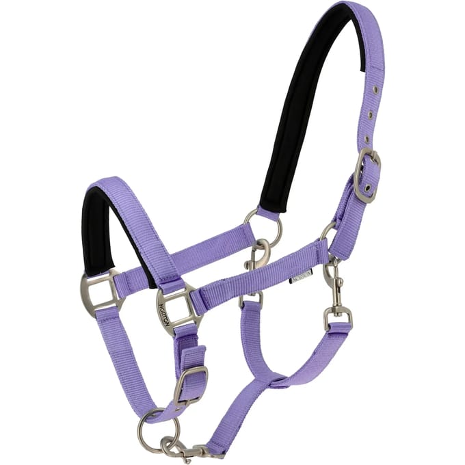 Halster voor paarden Norton Nacre