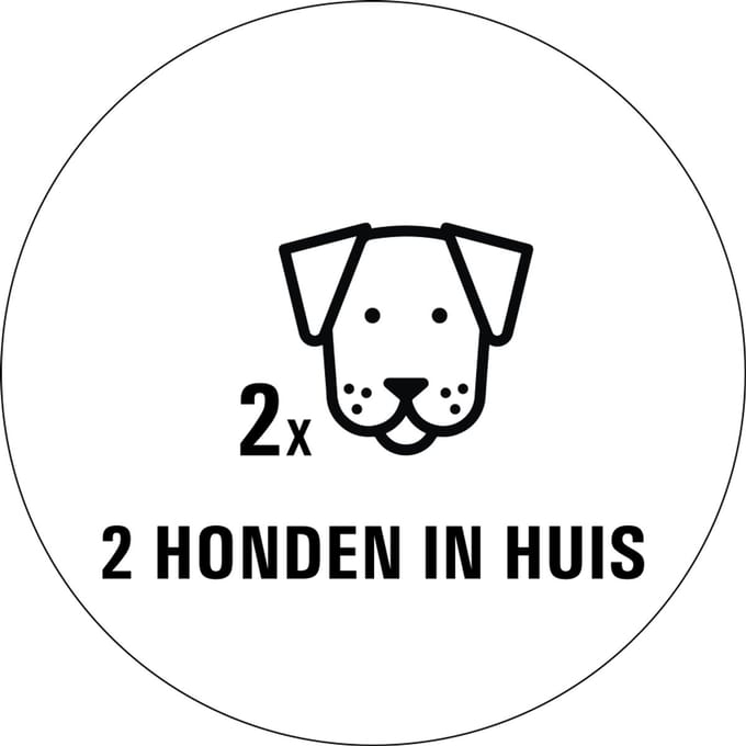 Honden in huis sticker - 80 x 80 mm 2