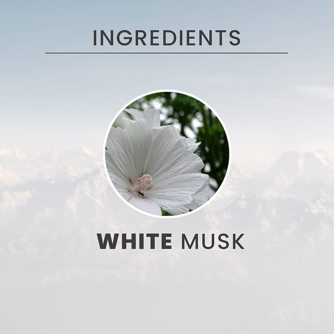 Tesori d'Oriente Witte Muskus Body Mist 200 ml