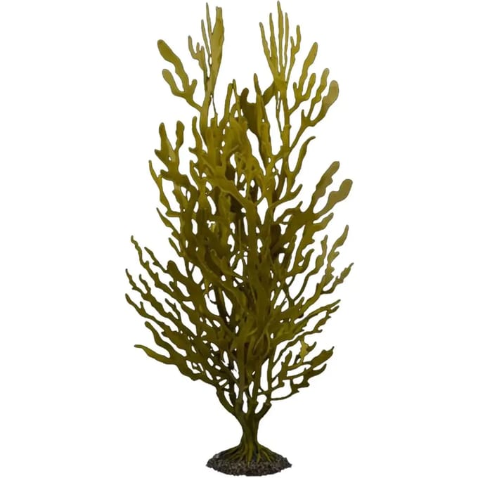 Kunstplant aquariumdecoratie Aqua Della Kelp buisson