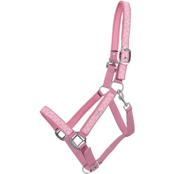 QHP - Halster Lyvia - Roze - Maat Full