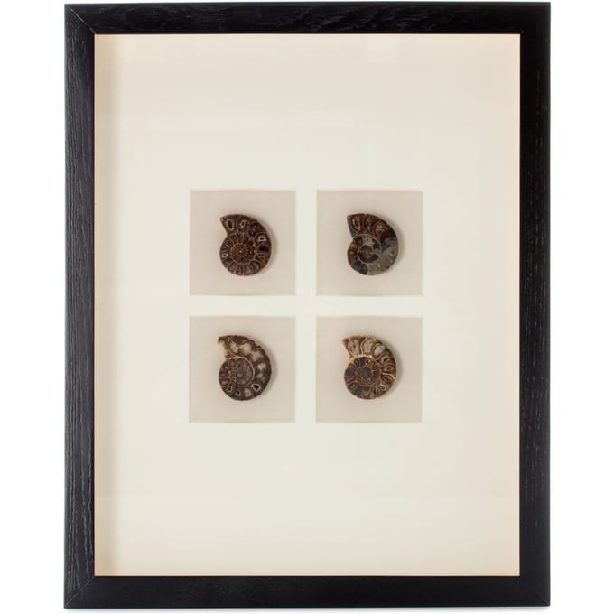 Decoratief wandobject Valuable I 41cm x 51cm | Decorationable