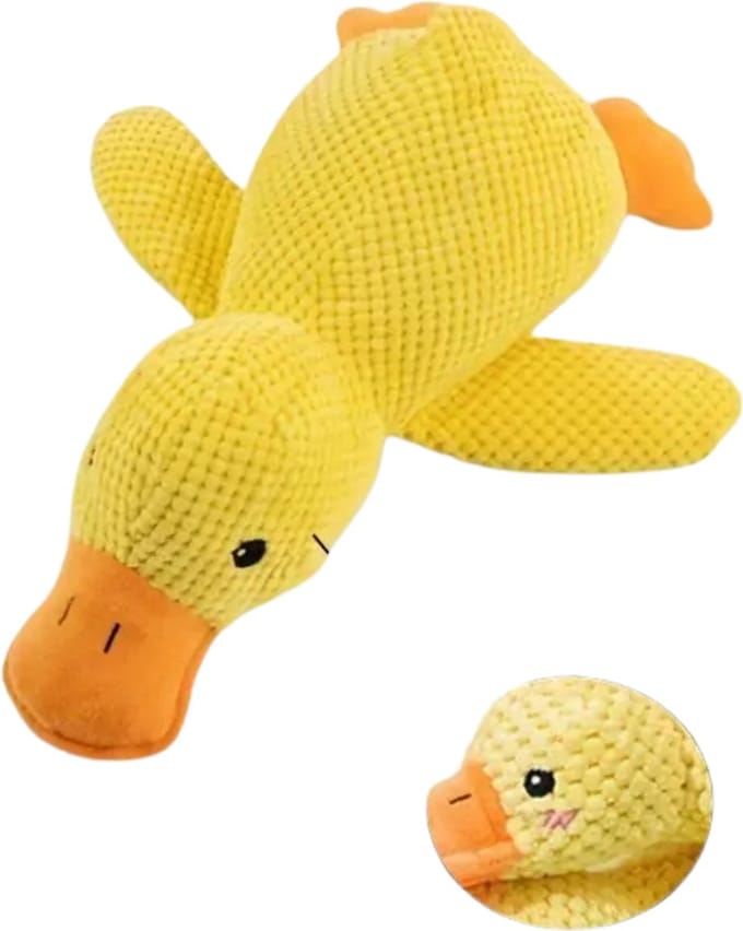 Livano Honden Speelgoed - Hond - Speelgoed - Dog Toy - Pluche - Eend - Medium