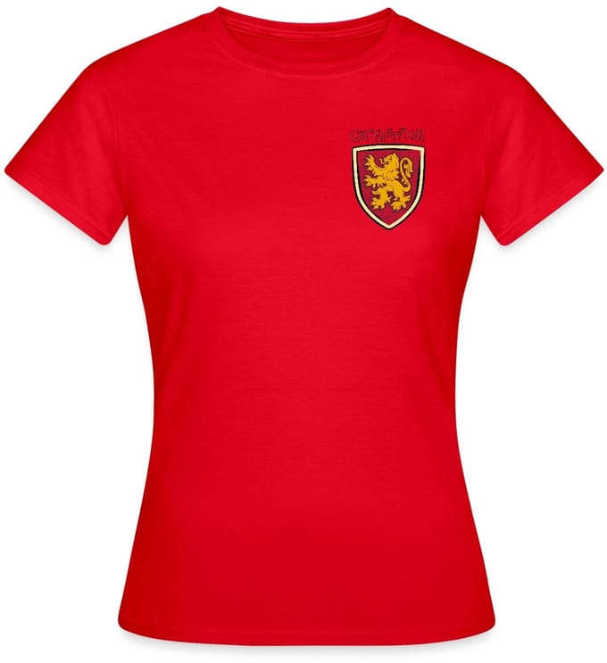 Harry Potter Gryffindor Quidditch Potter T-Shirt Dames