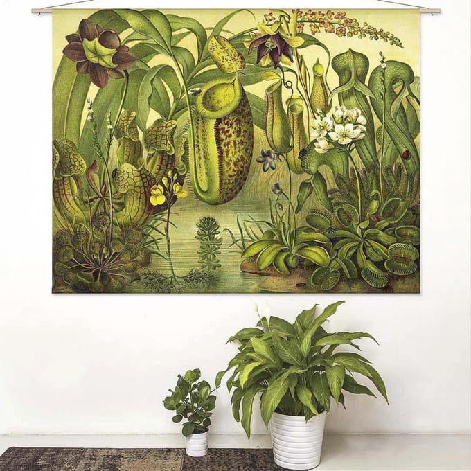 Wandkleed-XL Bekerplanten