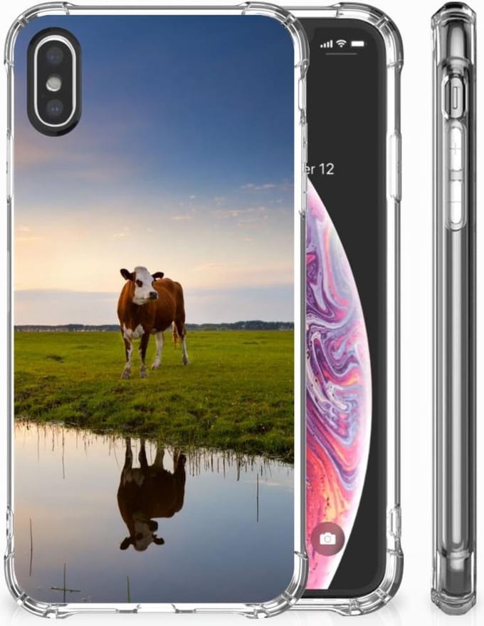 Apple iPhone X | Xs Case Anti-shock Koe