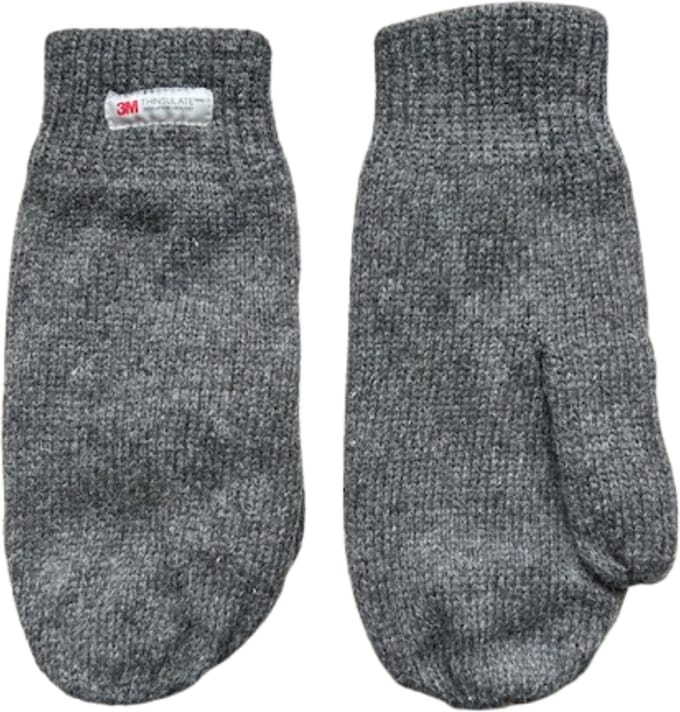Heren wanten - Winter want - Thinsulate - Wol - Grijs - One size