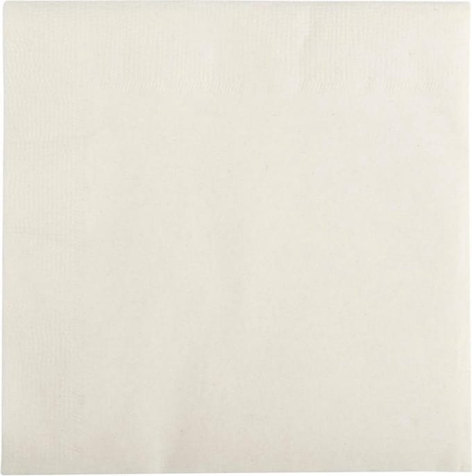 Serviettes Wit 100 stuks-2 laags