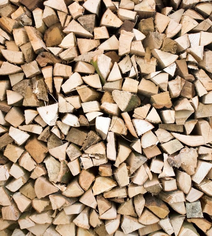Fotobehang - Timber Logs 225x250cm - Vliesbehang