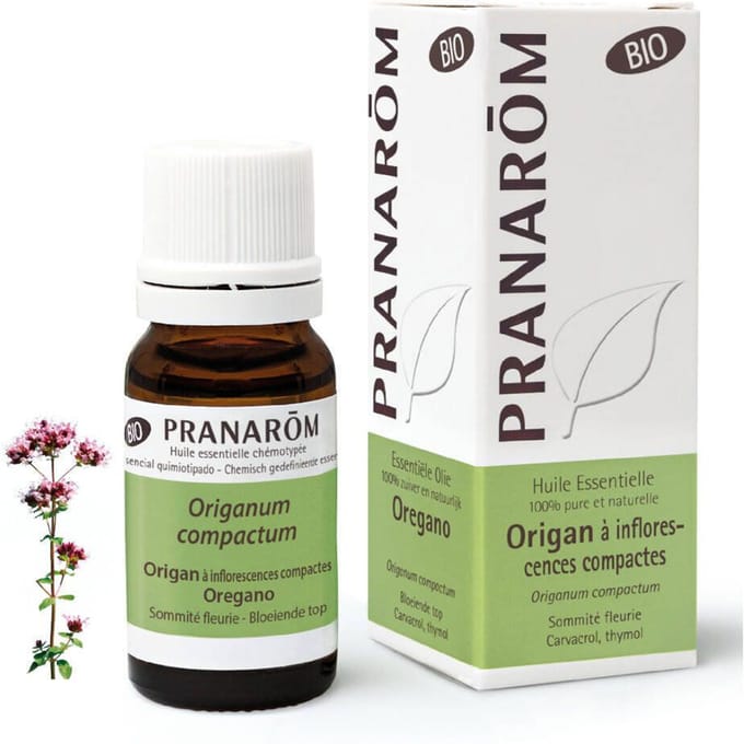 Pranarom - Oregano etherische olie met compacte bloeiwijzen - Bio - 10 ml