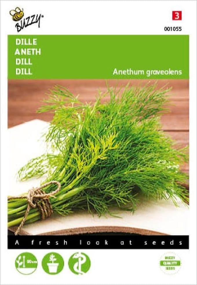 Buzzy Zaden Dille - Anethum graveolens