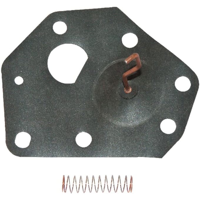 Briggs & stratton membraan