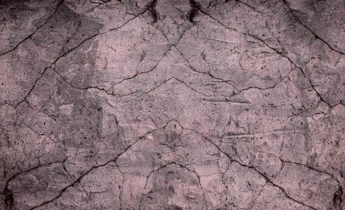 Wood Texture Photo Wallcovering