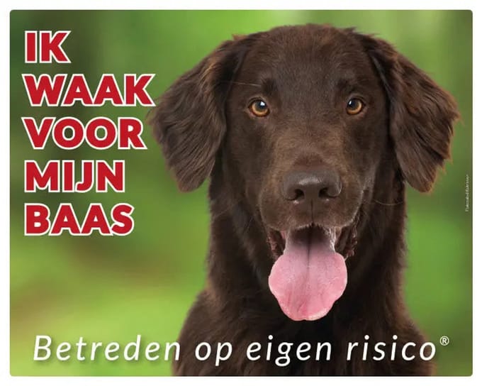 Flatcoated Retriever Waakbord