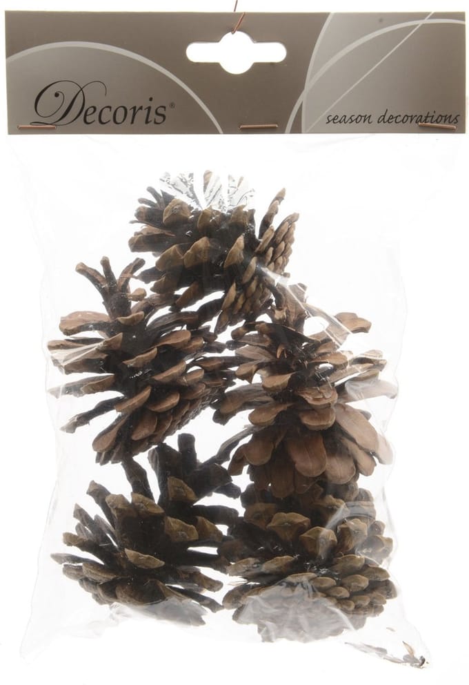 Decoris 5x Bruine decoratie dennenappels 4 cm - Kerststukje / herfststukje instekertjes