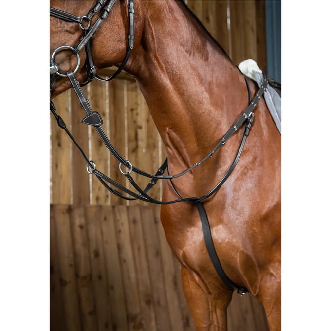 Martingale met ringen Dy'on