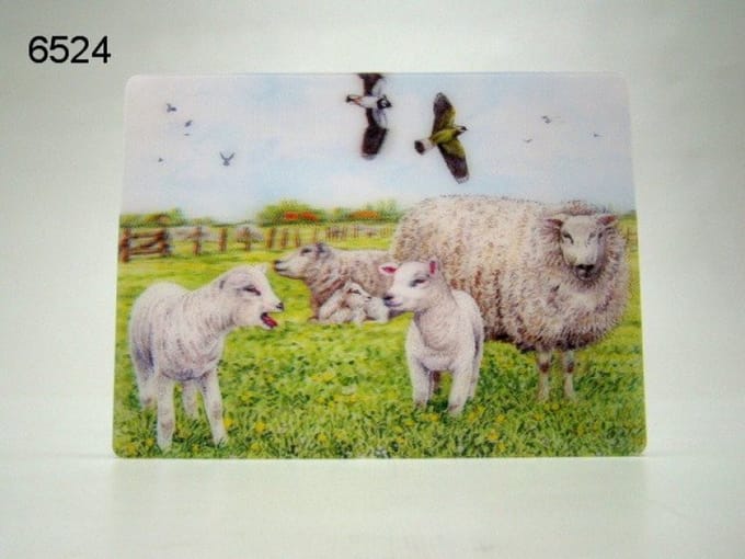 3D Ansichtkaart - Schapen in de Wei - 16 x 12 cm - Diepte Effect - Zonder Envelop