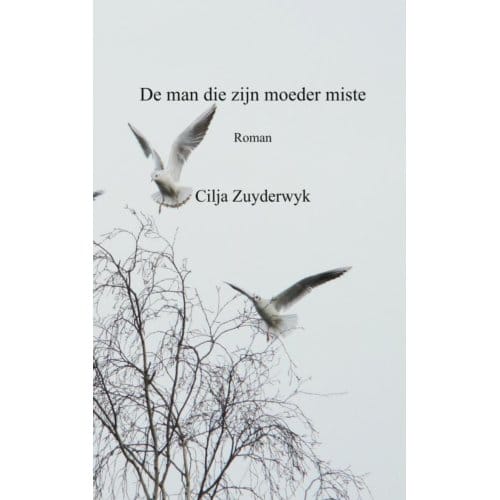 De Man Die Zijn Moeder Miste - Cilja Zuyderwyk